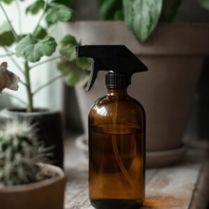 household-insect-repellent-spray